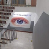 265575052_511575450389483_5434649676645150925_n